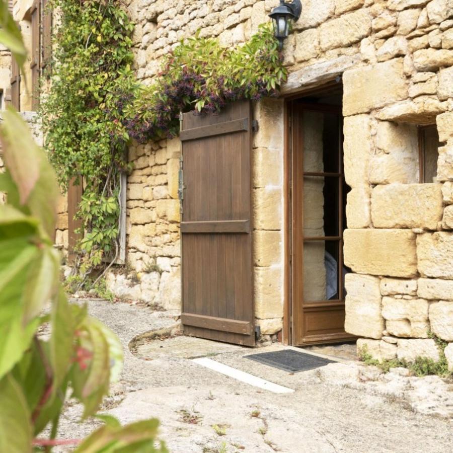 Domaine De Cantegrel - Gites De Charme Et Suite Troglodyte En Perigord Vitrac  Exteriér fotografie