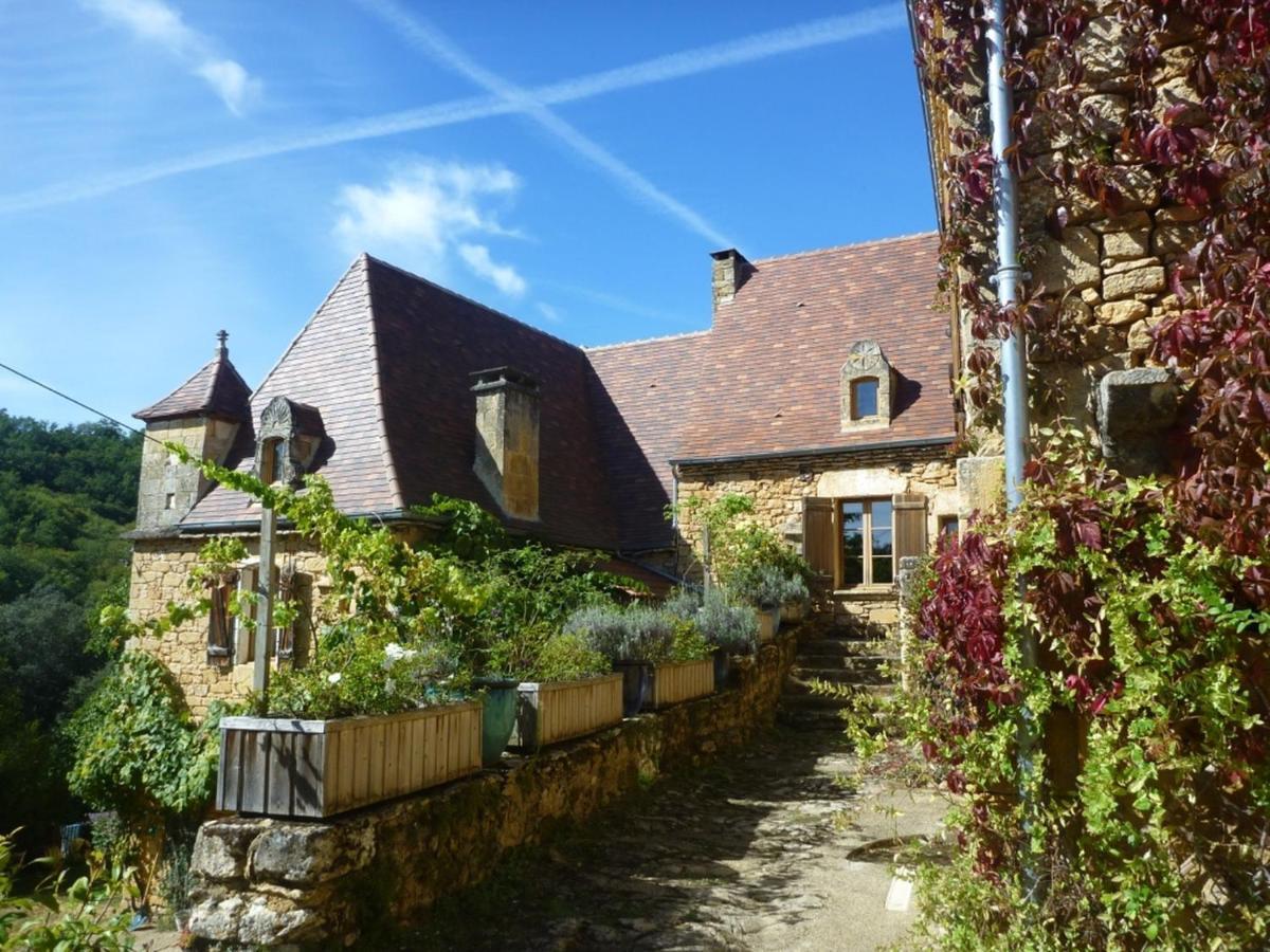 Domaine De Cantegrel - Gites De Charme Et Suite Troglodyte En Perigord Vitrac  Exteriér fotografie