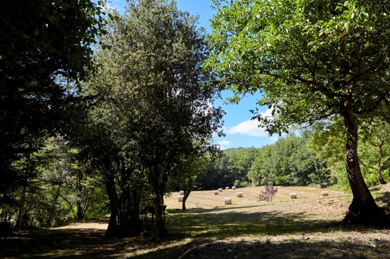 Domaine De Cantegrel - Gites De Charme Et Suite Troglodyte En Perigord Vitrac  Exteriér fotografie