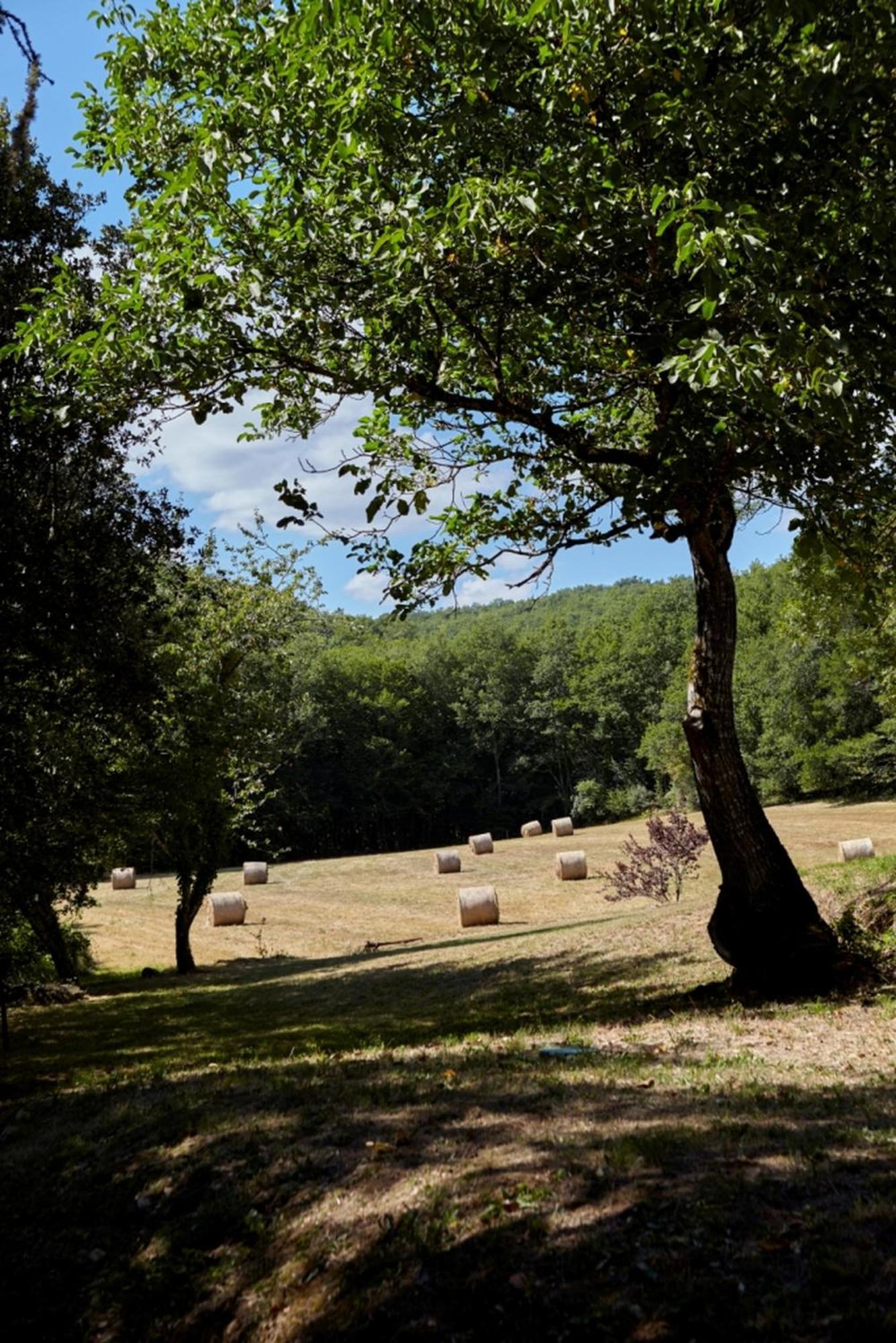 Domaine De Cantegrel - Gites De Charme Et Suite Troglodyte En Perigord Vitrac  Exteriér fotografie