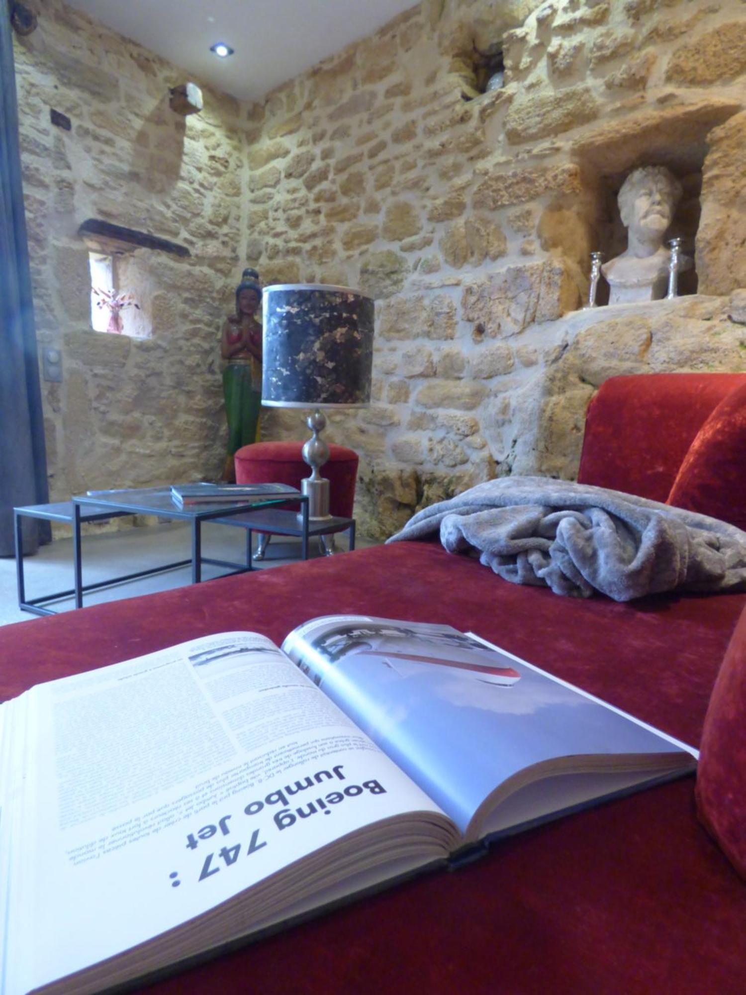Domaine De Cantegrel - Gites De Charme Et Suite Troglodyte En Perigord Vitrac  Exteriér fotografie